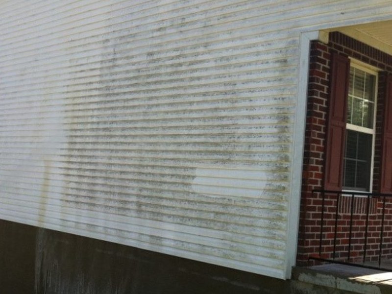Vinyl siding covered in mildew before soft washing